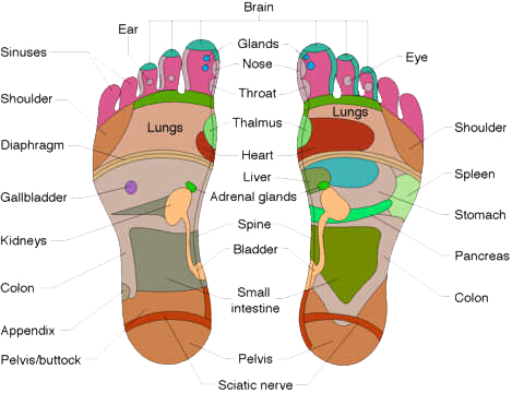 Reflexology